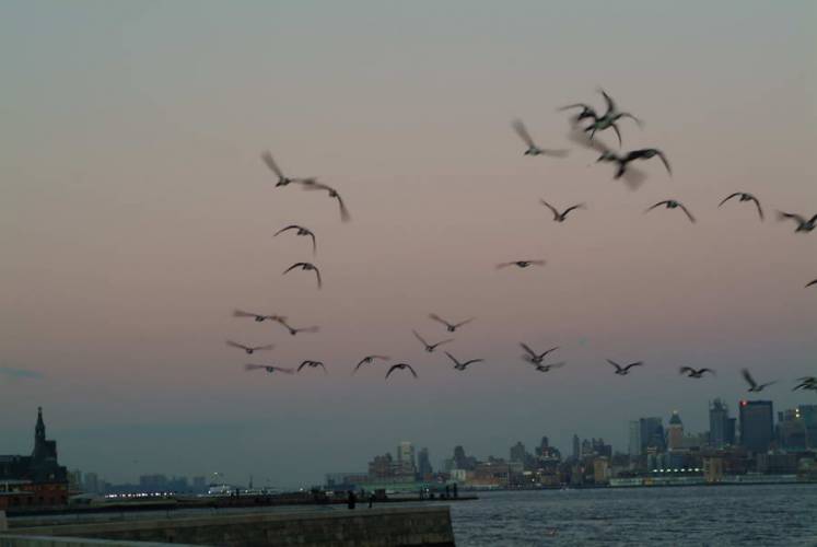 NYC_2006-12-05 16-32-13